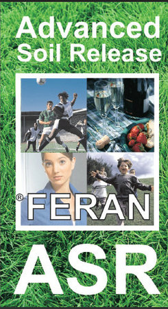 feran asr-en正面